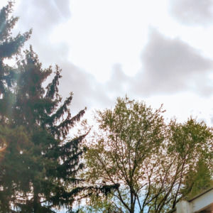 Meet your Posher, Brute force